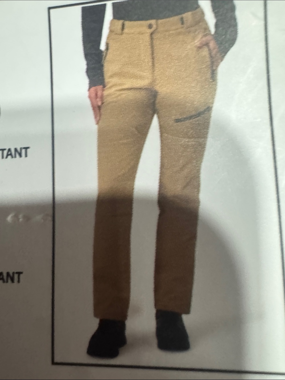 Roxy Beige Cargo Pants